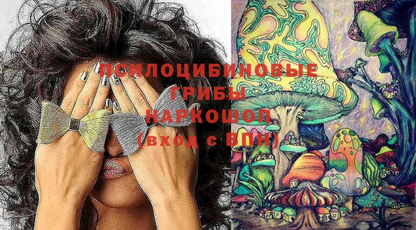 jwh Аркадак
