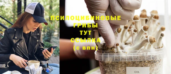 а пвп мука Арсеньев