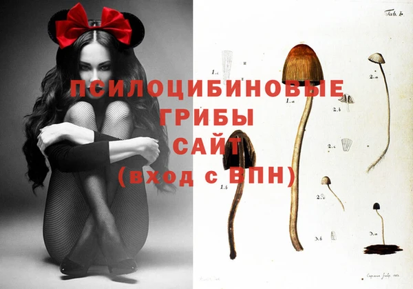 а пвп мука Арсеньев